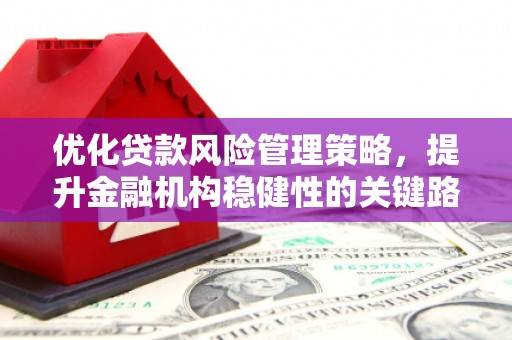 石嘴山优化贷款风险管理策略，提升金融机构稳健性的关键路径