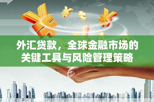 石嘴山外汇贷款，全球金融市场的关键工具与风险管理策略