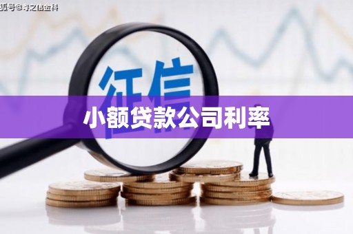 石嘴山小额贷款公司利率