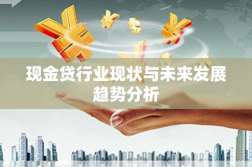 石嘴山现金贷行业现状与未来发展趋势分析