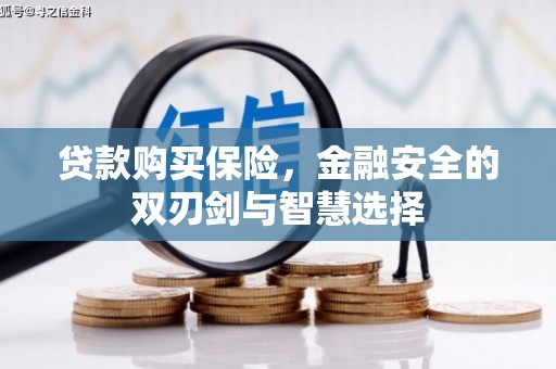 石嘴山贷款购买保险，金融安全的双刃剑与智慧选择