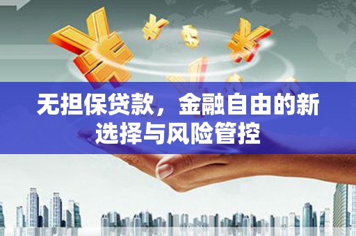 石嘴山无担保贷款，金融自由的新选择与风险管控