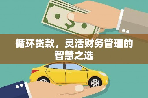 石嘴山循环贷款，灵活财务管理的智慧之选