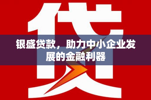 石嘴山银盛贷款，助力中小企业发展的金融利器