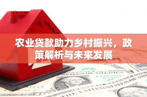 石嘴山农业贷款助力乡村振兴，政策解析与未来发展