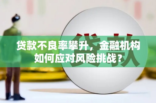 石嘴山贷款不良率攀升，金融机构如何应对风险挑战？