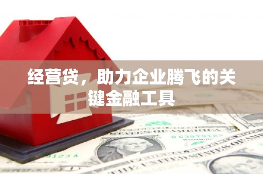 石嘴山经营贷，助力企业腾飞的关键金融工具