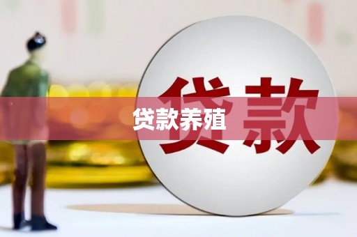 石嘴山贷款养殖