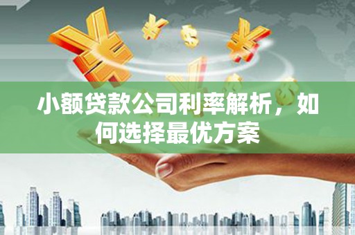 石嘴山小额贷款公司利率解析，如何选择最优方案