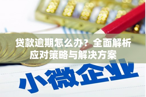 石嘴山贷款逾期怎么办？全面解析应对策略与解决方案