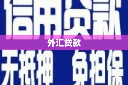 石嘴山外汇贷款