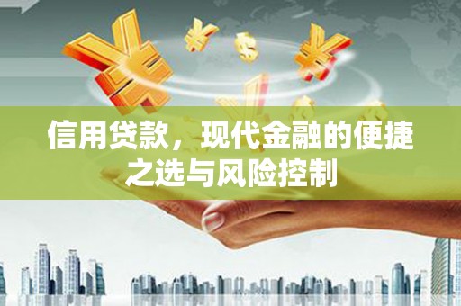 石嘴山信用贷款，现代金融的便捷之选与风险控制