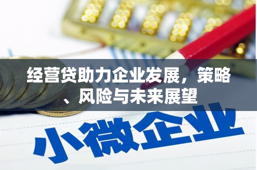 石嘴山经营贷助力企业发展，策略、风险与未来展望