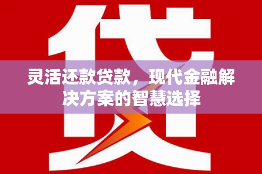 石嘴山灵活还款贷款，现代金融解决方案的智慧选择