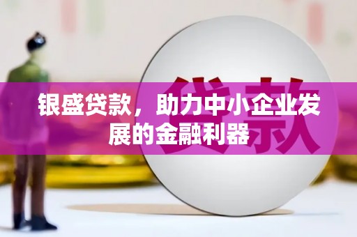 石嘴山银盛贷款，助力中小企业发展的金融利器
