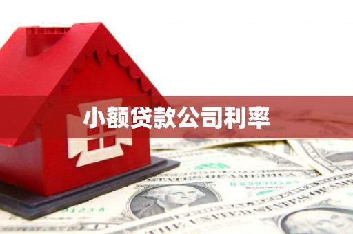 石嘴山小额贷款公司利率