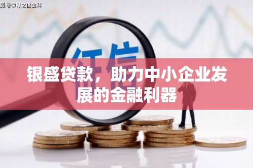 石嘴山银盛贷款，助力中小企业发展的金融利器