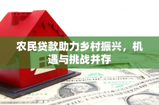 石嘴山农民贷款助力乡村振兴，机遇与挑战并存