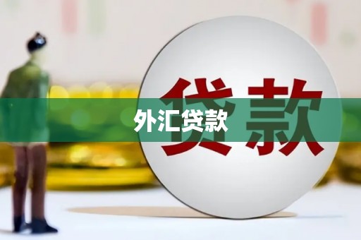石嘴山外汇贷款