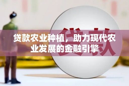 石嘴山贷款农业种植，助力现代农业发展的金融引擎