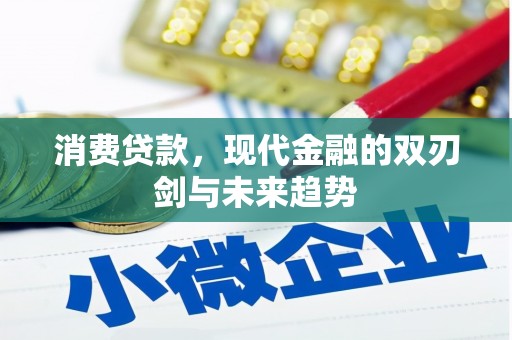 石嘴山消费贷款，现代金融的双刃剑与未来趋势