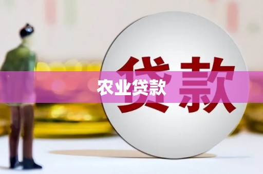 石嘴山农业贷款