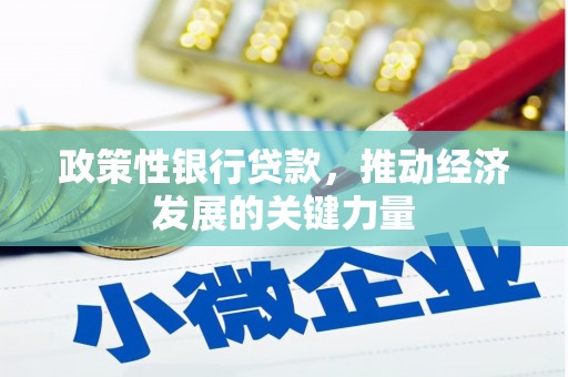 石嘴山政策性银行贷款，推动经济发展的关键力量