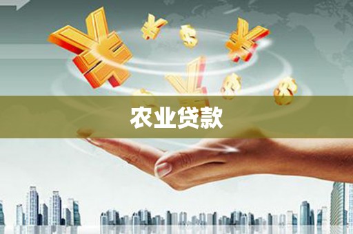 石嘴山农业贷款