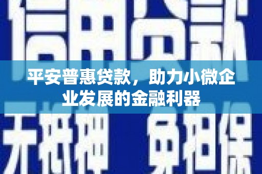 石嘴山平安普惠贷款，助力小微企业发展的金融利器