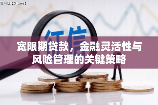 石嘴山宽限期贷款，金融灵活性与风险管理的关键策略