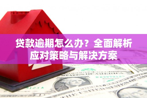 石嘴山贷款逾期怎么办？全面解析应对策略与解决方案