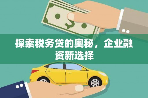 石嘴山探索税务贷的奥秘，企业融资新选择
