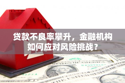 石嘴山贷款不良率攀升，金融机构如何应对风险挑战？