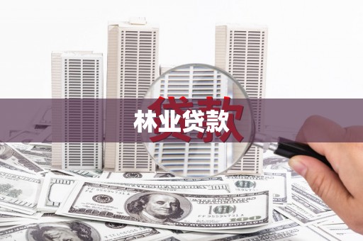 石嘴山林业贷款