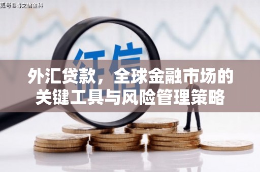 石嘴山外汇贷款，全球金融市场的关键工具与风险管理策略