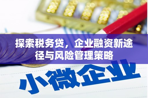 石嘴山探索税务贷，企业融资新途径与风险管理策略