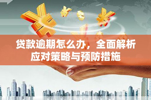 石嘴山贷款逾期怎么办，全面解析应对策略与预防措施