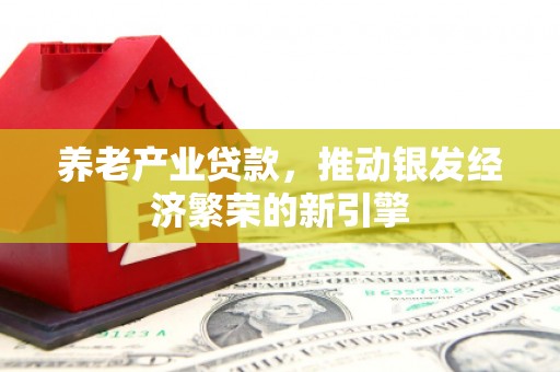 石嘴山养老产业贷款，推动银发经济繁荣的新引擎