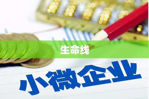 石嘴山生命线