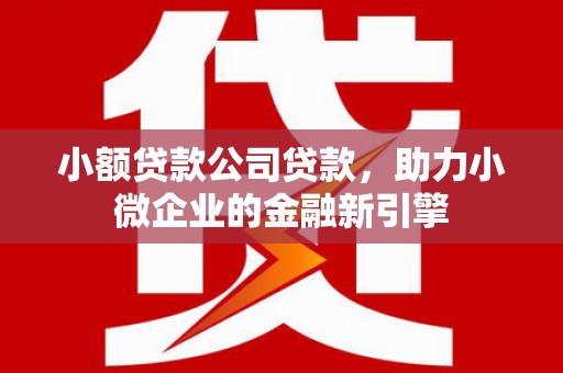 石嘴山小额贷款公司贷款，助力小微企业的金融新引擎