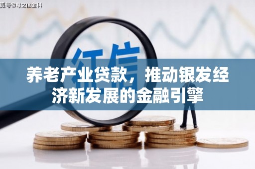 石嘴山养老产业贷款，推动银发经济新发展的金融引擎