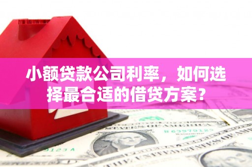 石嘴山小额贷款公司利率，如何选择最合适的借贷方案？