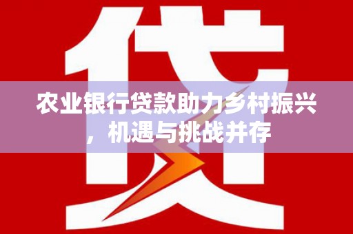 石嘴山农业银行贷款助力乡村振兴，机遇与挑战并存
