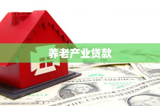 石嘴山养老产业贷款