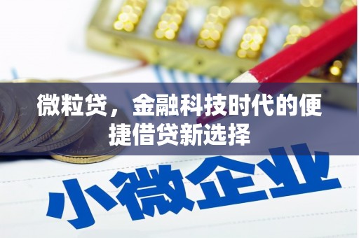 石嘴山微粒贷，金融科技时代的便捷借贷新选择