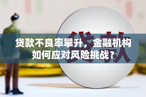 石嘴山贷款不良率攀升，金融机构如何应对风险挑战？