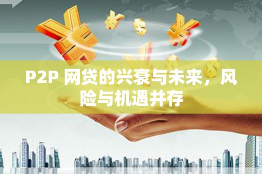 石嘴山P2P 网贷的兴衰与未来，风险与机遇并存