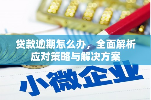 石嘴山贷款逾期怎么办，全面解析应对策略与解决方案