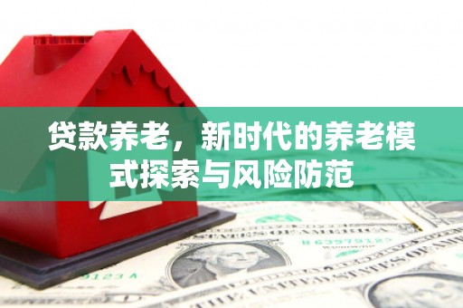 石嘴山贷款养老，新时代的养老模式探索与风险防范