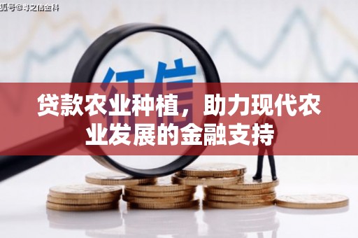 石嘴山贷款农业种植，助力现代农业发展的金融支持